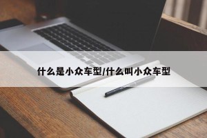 什么是小众车型/什么叫小众车型