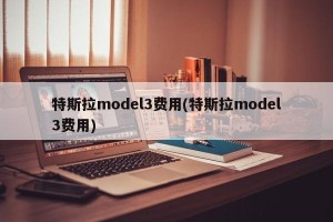 特斯拉model3费用(特斯拉model3费用)