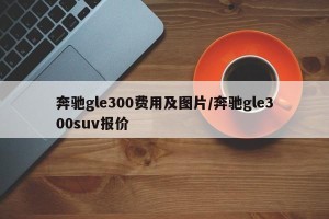 奔驰gle300费用及图片/奔驰gle300suv报价