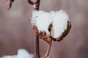 如何分析看涨期权的到期盈亏？盈亏状况受哪些因素影响？