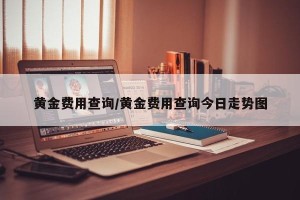 黄金费用查询/黄金费用查询今日走势图
