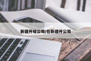 新疆开啥公司/在新疆开公司
