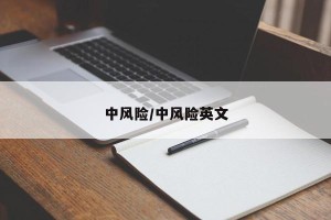 中风险/中风险英文