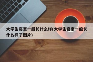 大学生寝室一般长什么样(大学生寝室一般长什么样子图片)