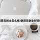 剑灵灵剑士怎么样/剑灵灵剑士好玩吗
